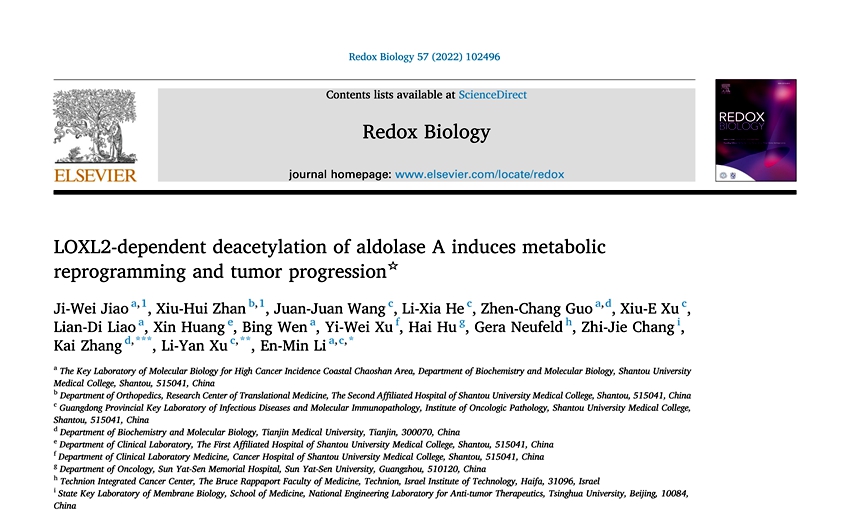 Redox Biology-首页-新闻稿插图_副本.jpg