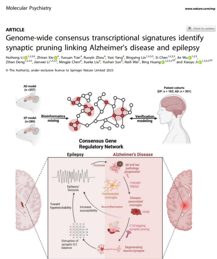 1761791552182167.png 图片.png